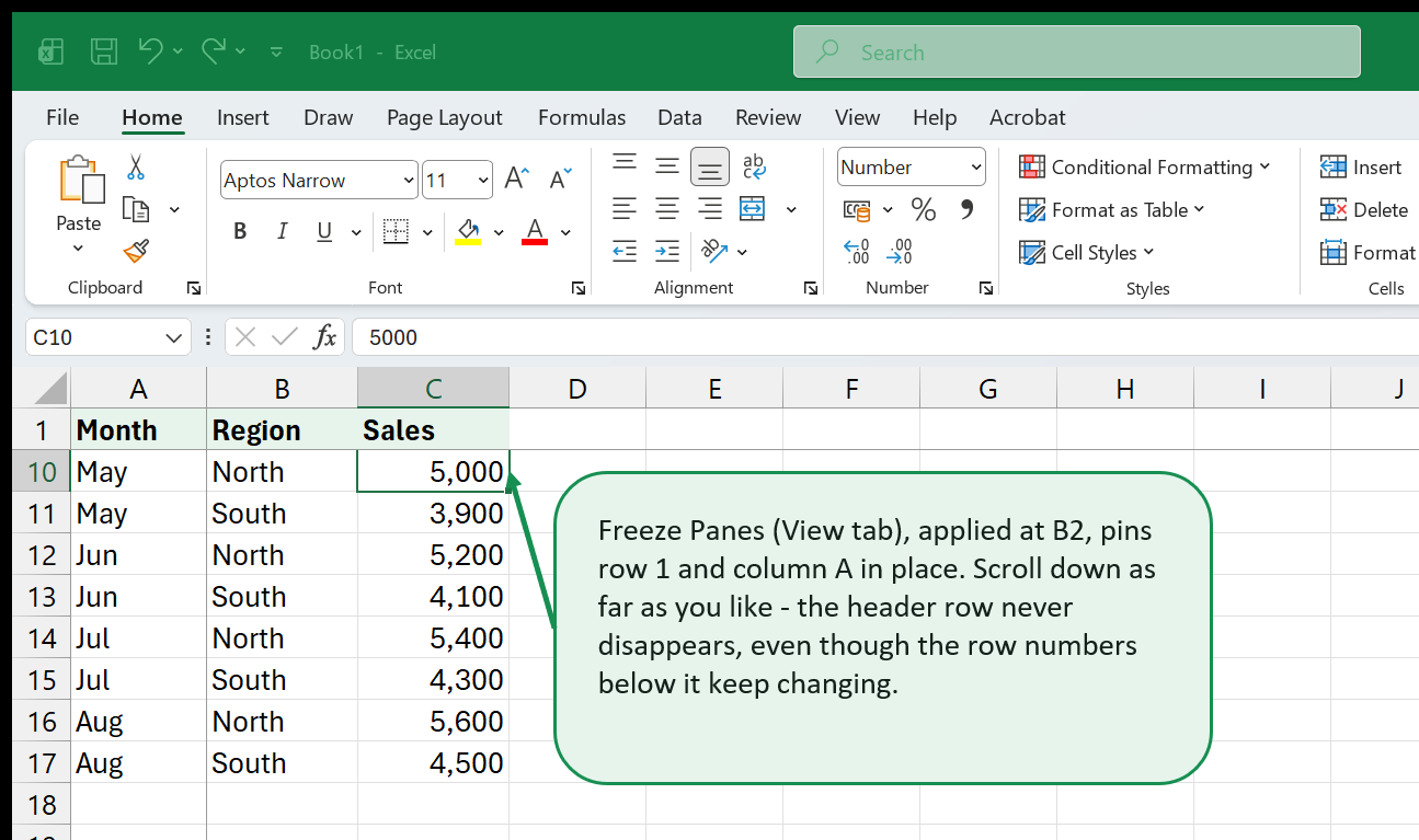 A 17-row list scrolled down to row 10, with row 1's header and column A still pinned in place thanks to Freeze Panes.