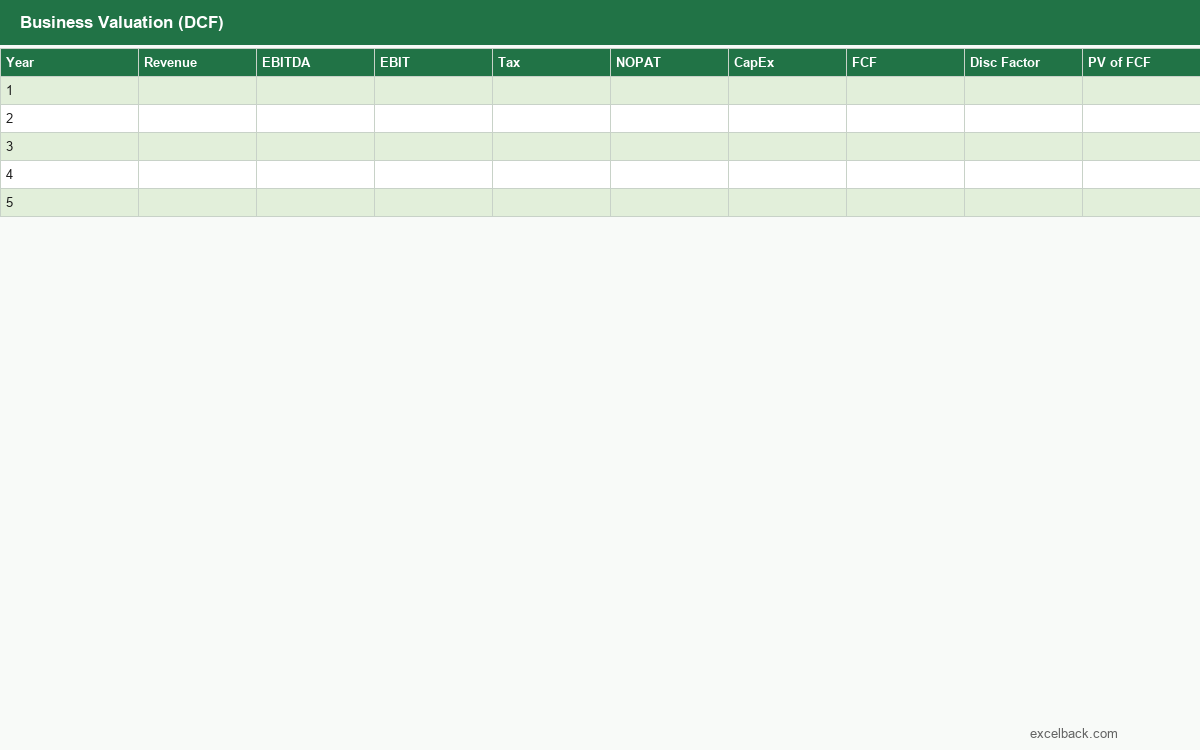 Preview of the Business valuation (DCF model) template