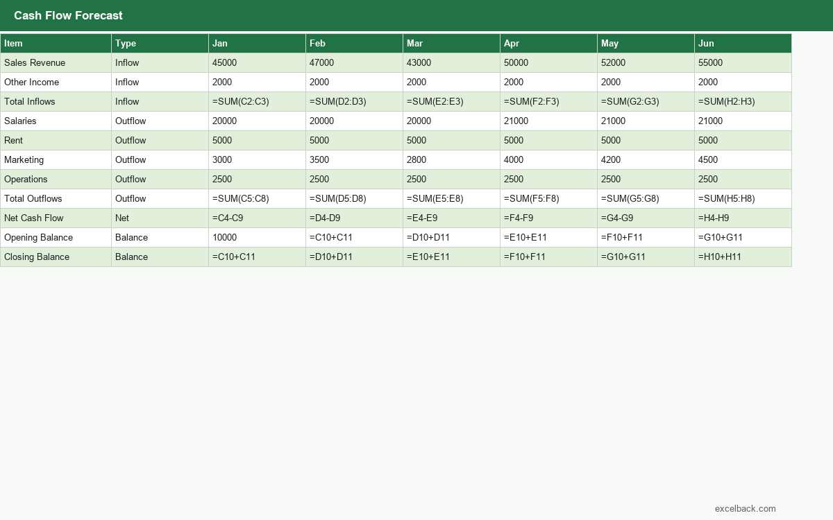 Preview of the Cash flow forecast template