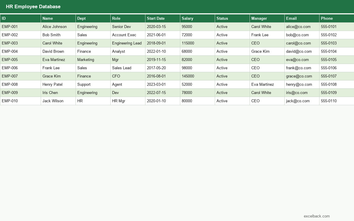 Preview of the HR employee database template