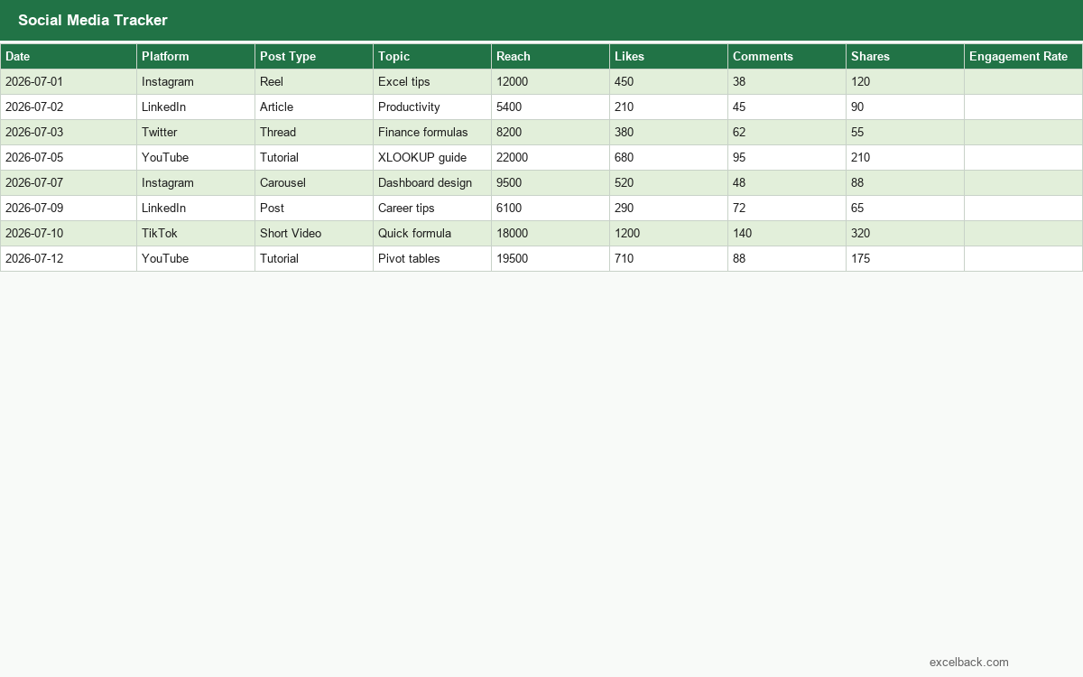 Preview of the Social media tracker template