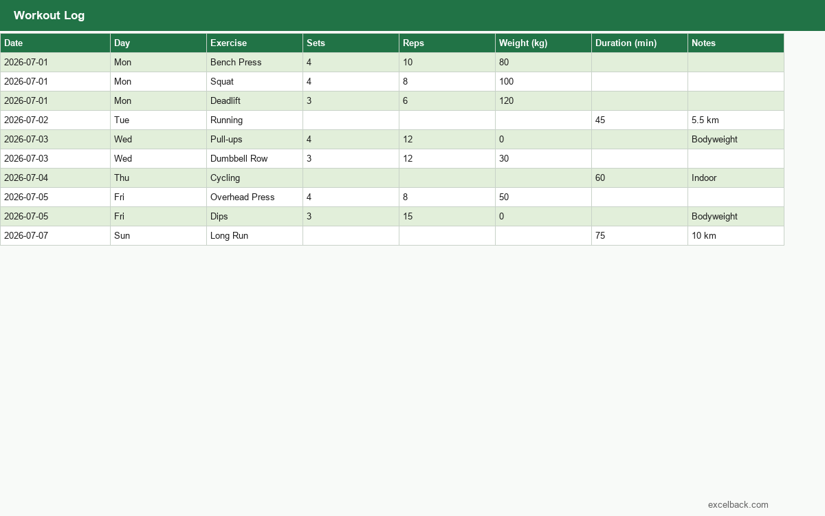 Preview of the Workout log template